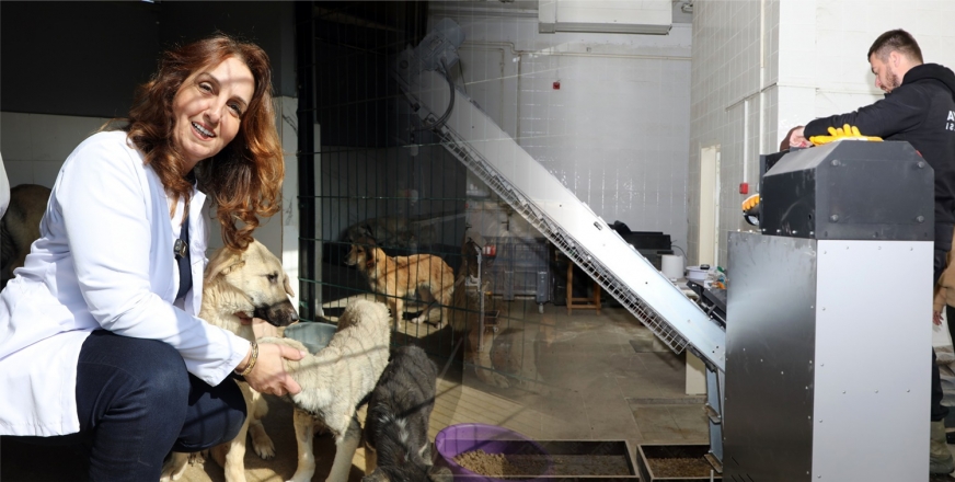 MUDANYA’DA CAN DOSTLAR AÇ KALMIYOR